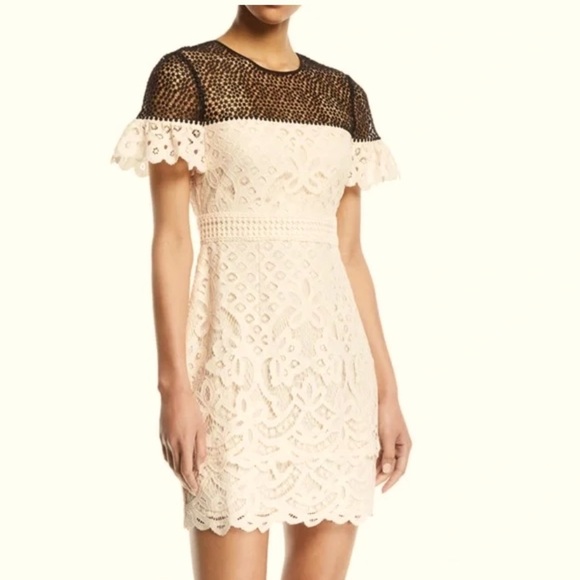 CLUB MONACO Womans Elegant Eyelet Sheath Lace Dress with Ruffle Sleeve Size 4 - Picture 1 of 13